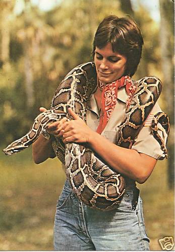 Burmese Python