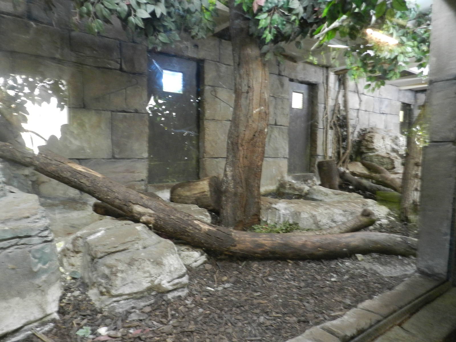 Burmese Rock Python Exhibit at Flamingo Land - 14/10/2012