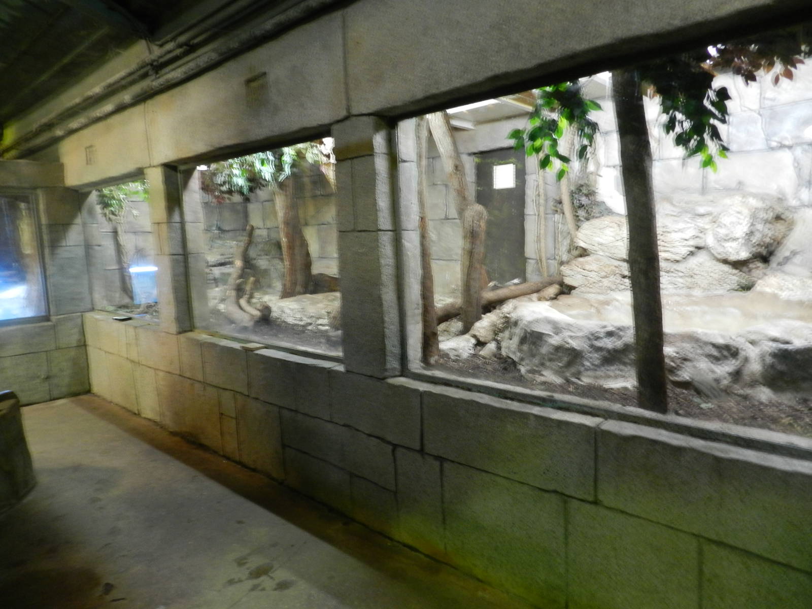 Burmese Rock Python Exhibit at Flamingo Land - 14/10/2012