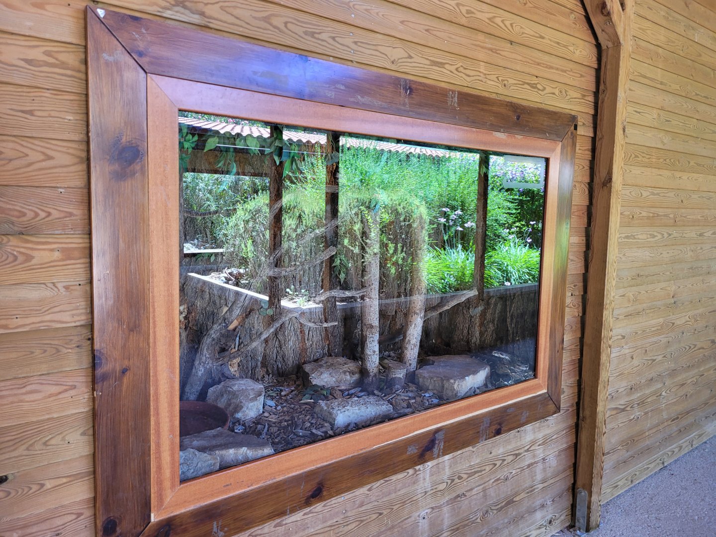 Burmese rock python exhibit -Sendaviva (2024)