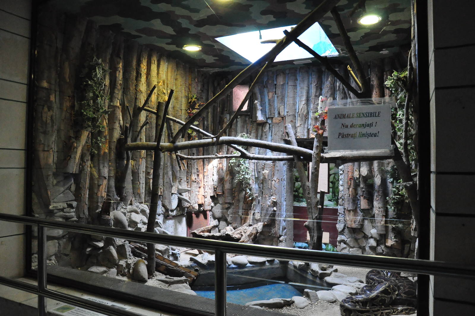 Burmese rock python exhibit