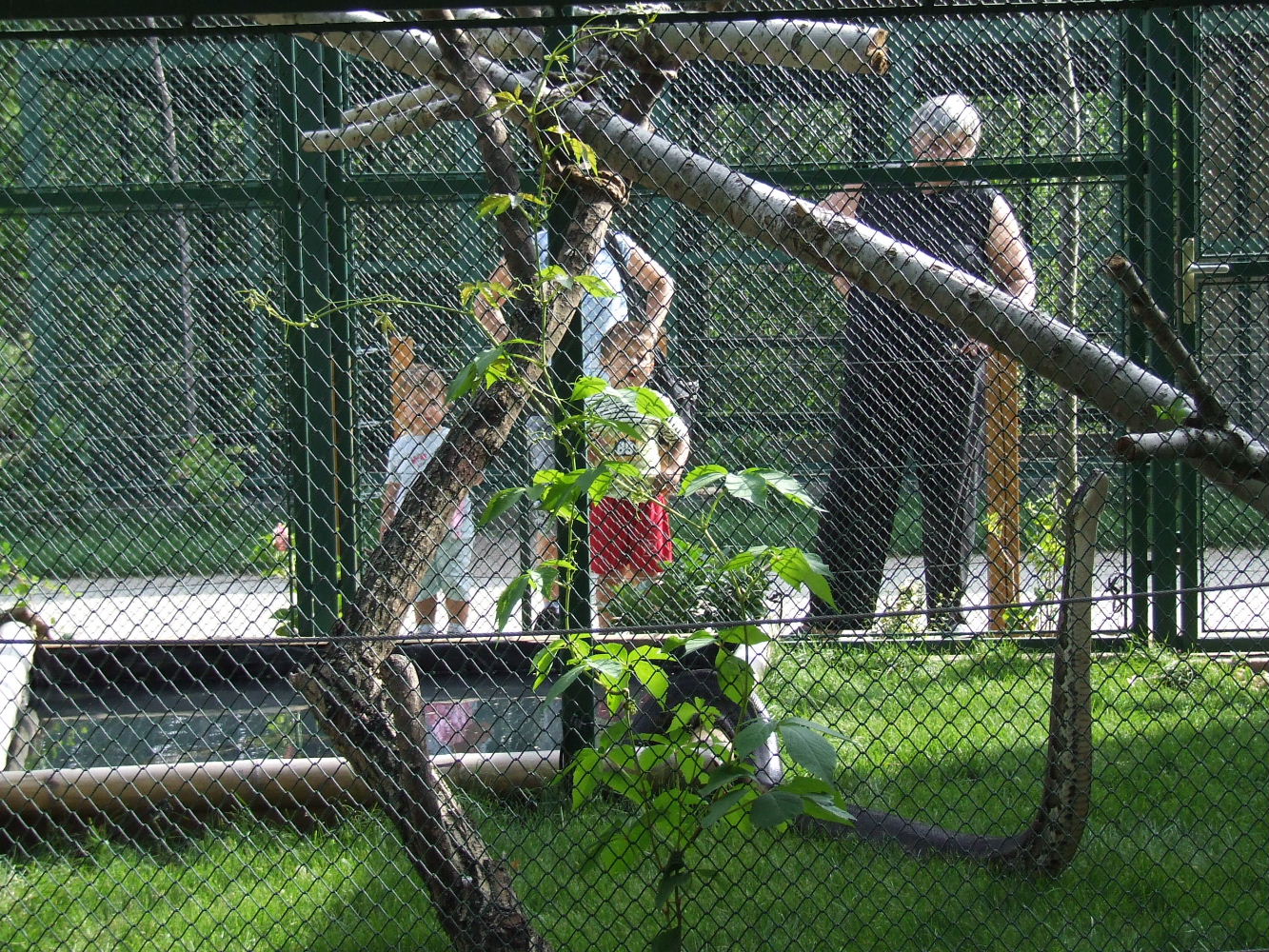 Burmese rock python outdoor enclosure @ Jászberény Zoo, Hungary