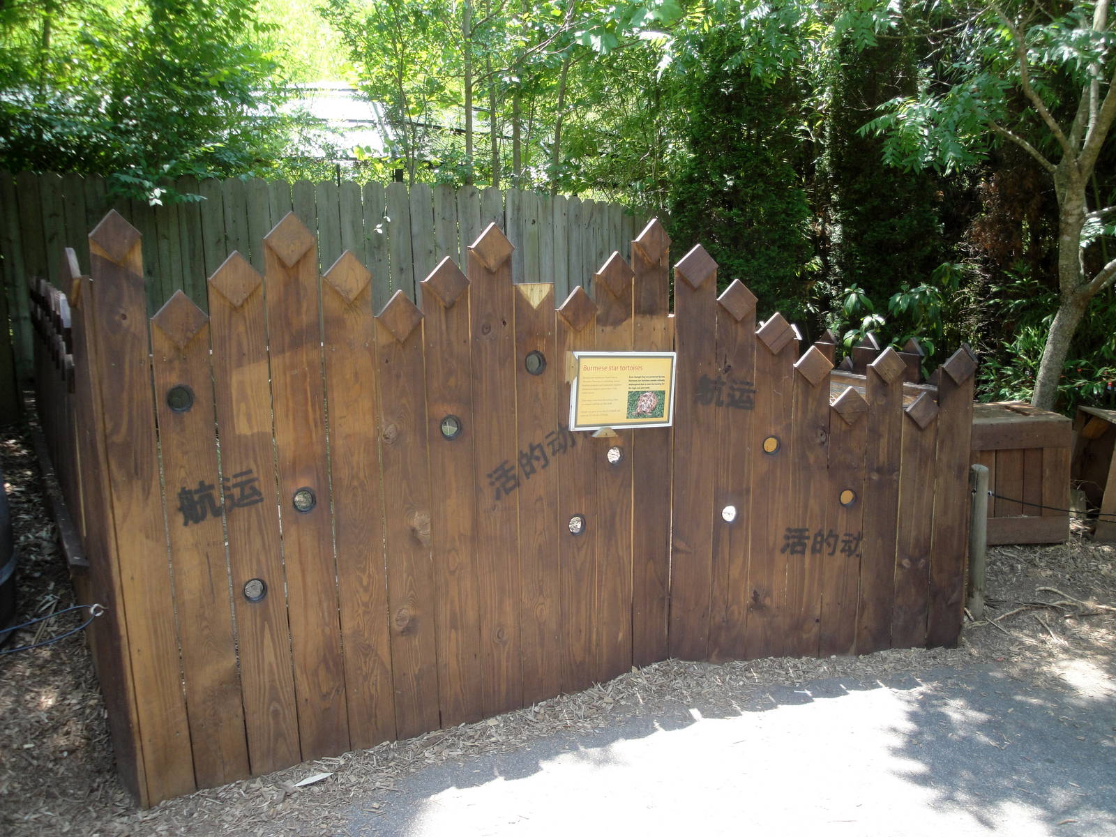 Burmese Star Tortoise Exhibit