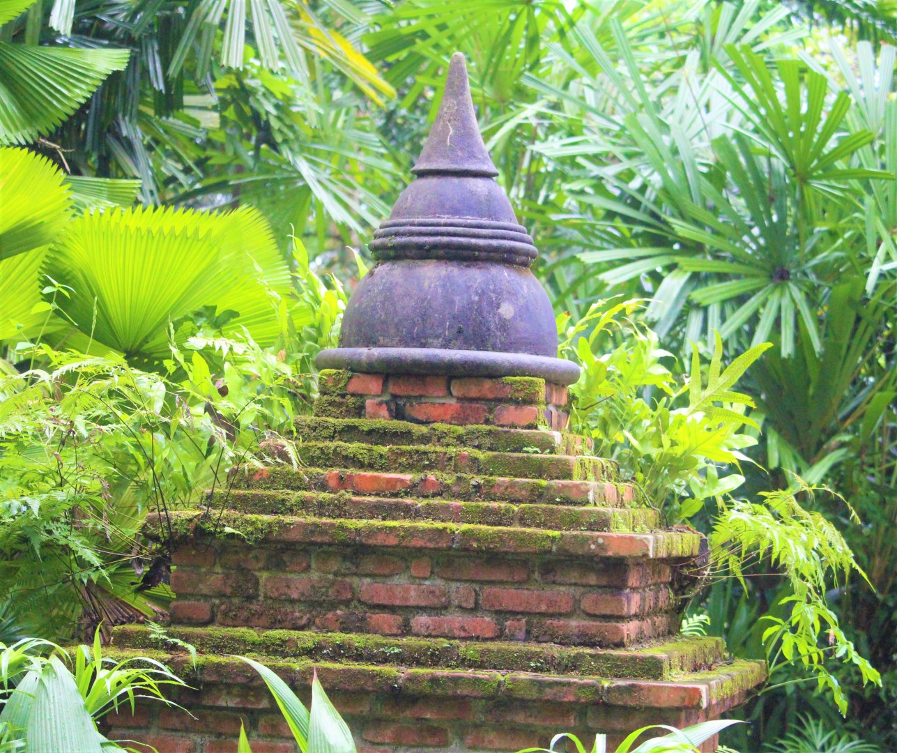 Burmese Stupa, Elephants of Asia