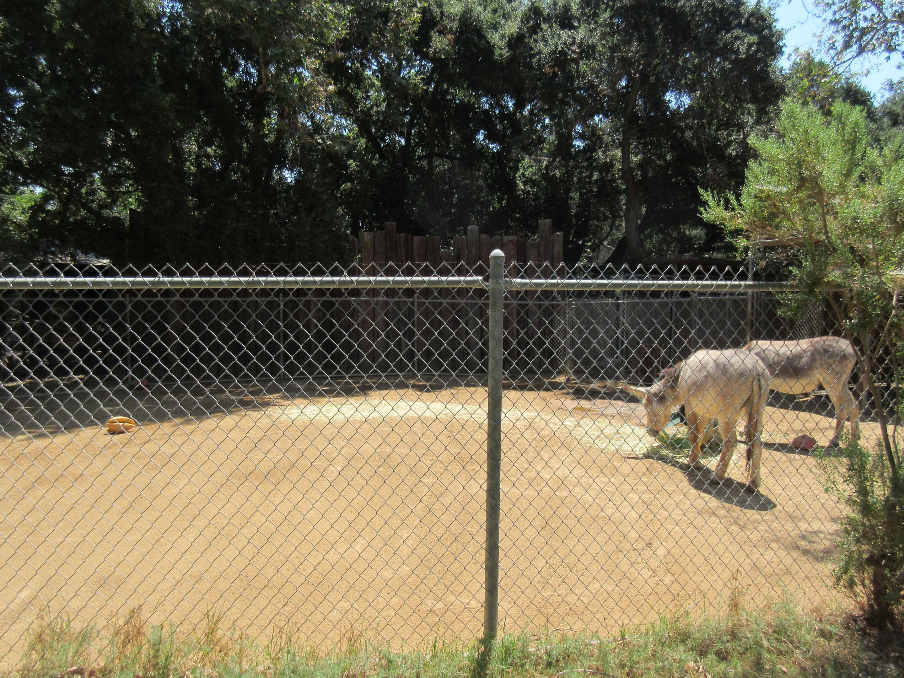 Burro Exhibit
