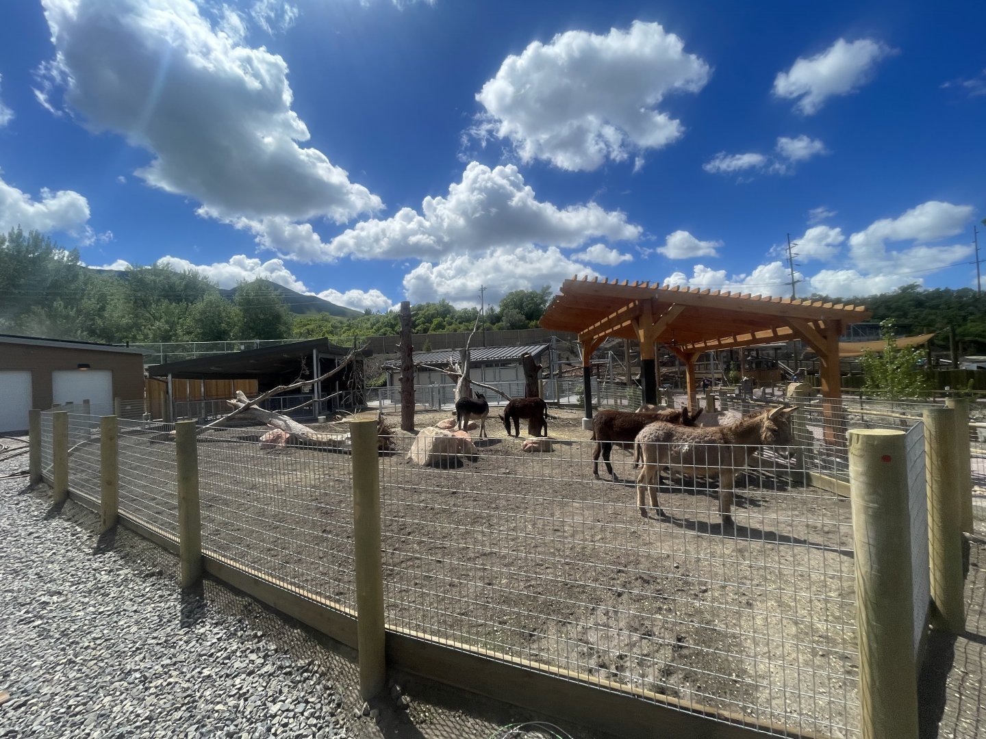 Burro Habitat - Wild Utah