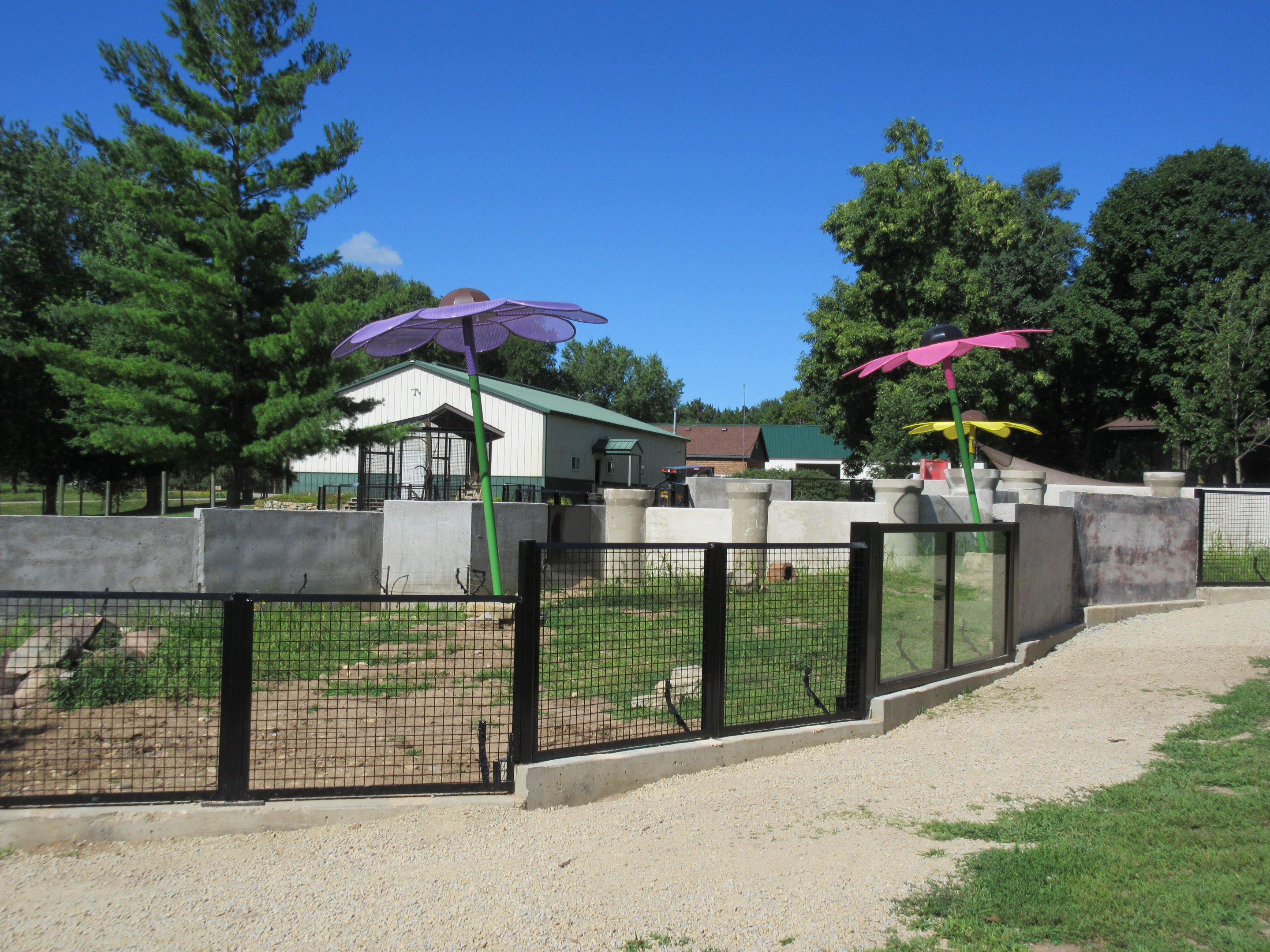 Burrowing Animals: Black-tailed Prairie Dog Exhibit (New in 2018)
