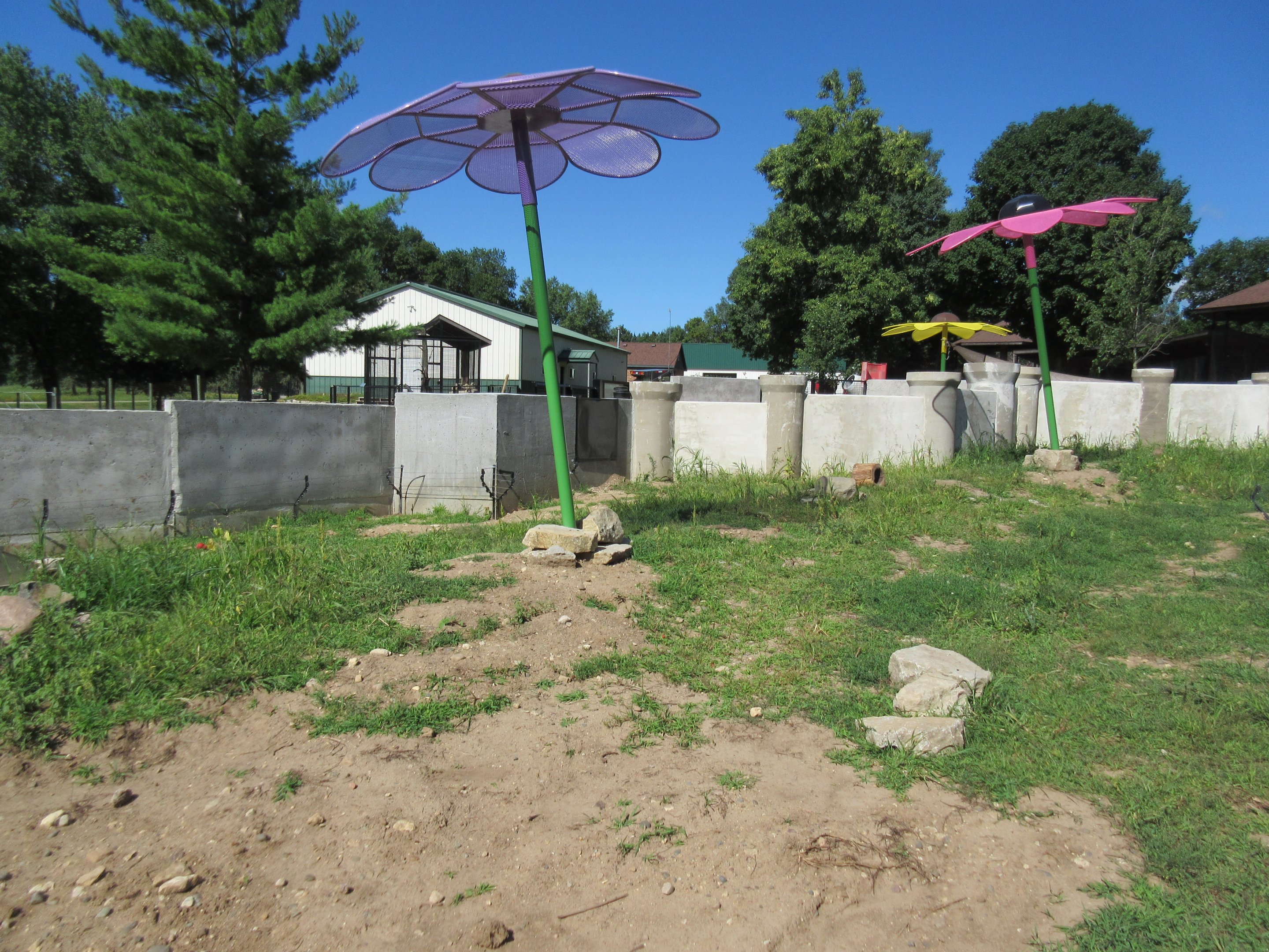 Burrowing Animals: Black-tailed Prairie Dog Exhibit (New in 2018)