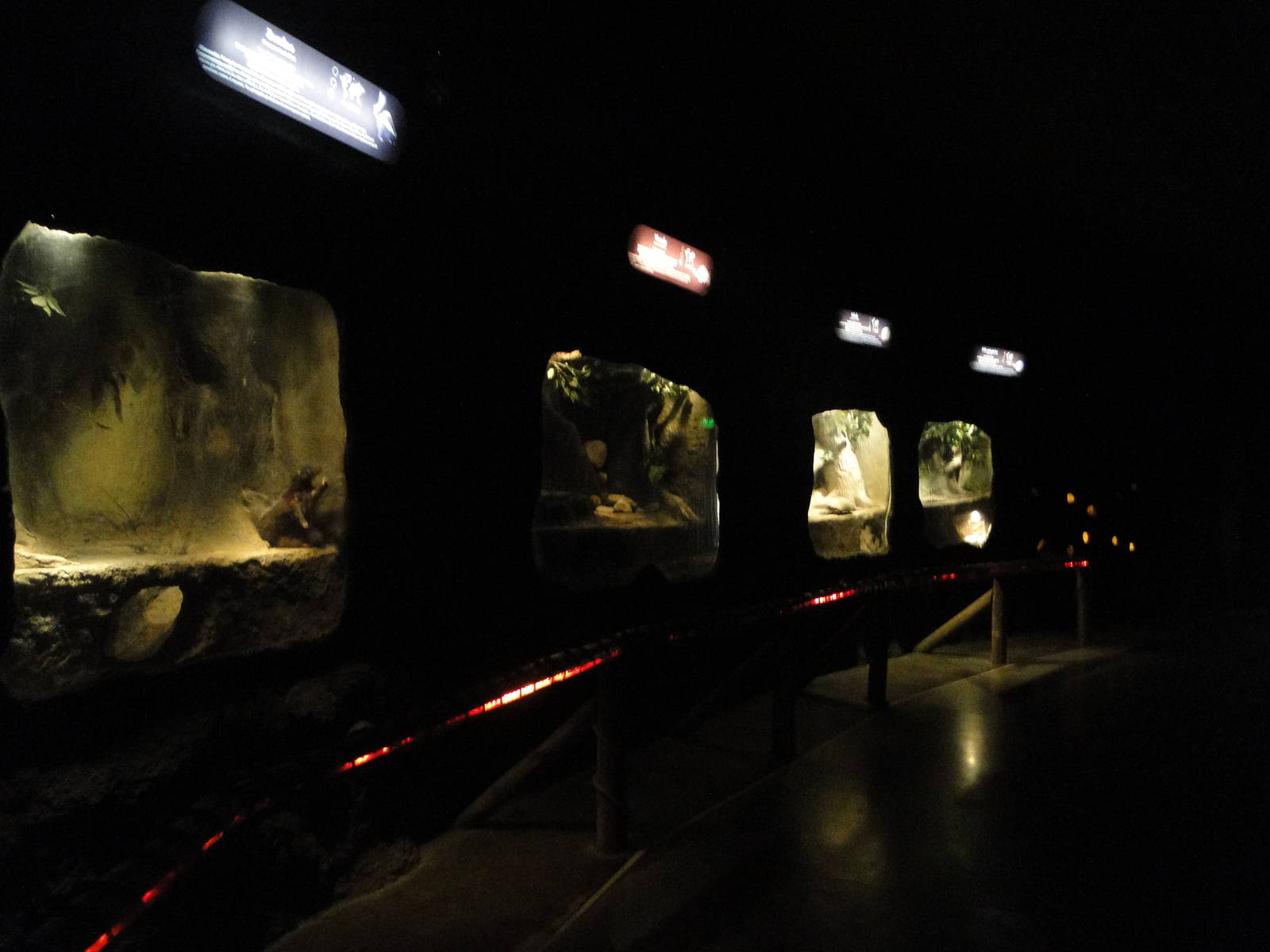 Burrowing animals' exhibits