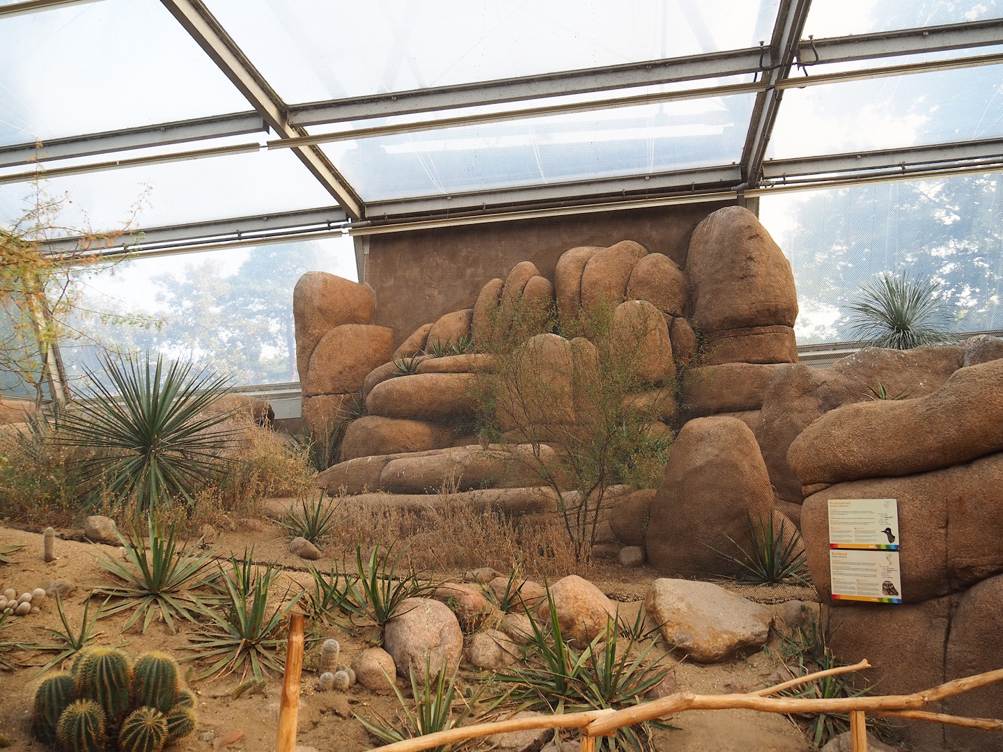 Burrowing owl and Greater roadrunner aviary, 2023-10-07