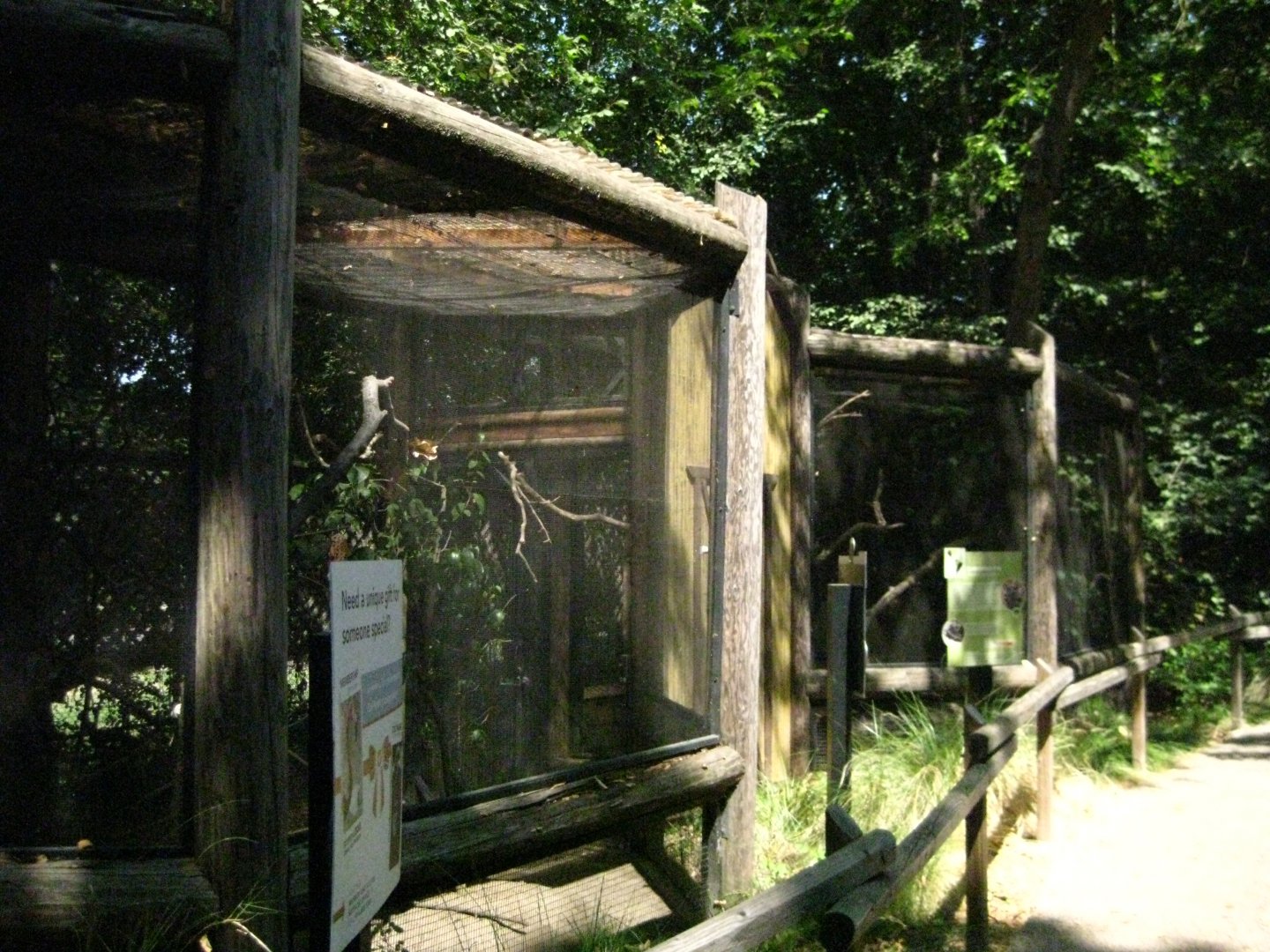 Burrowing Owl and Yellow Billed Magpie Exhibits