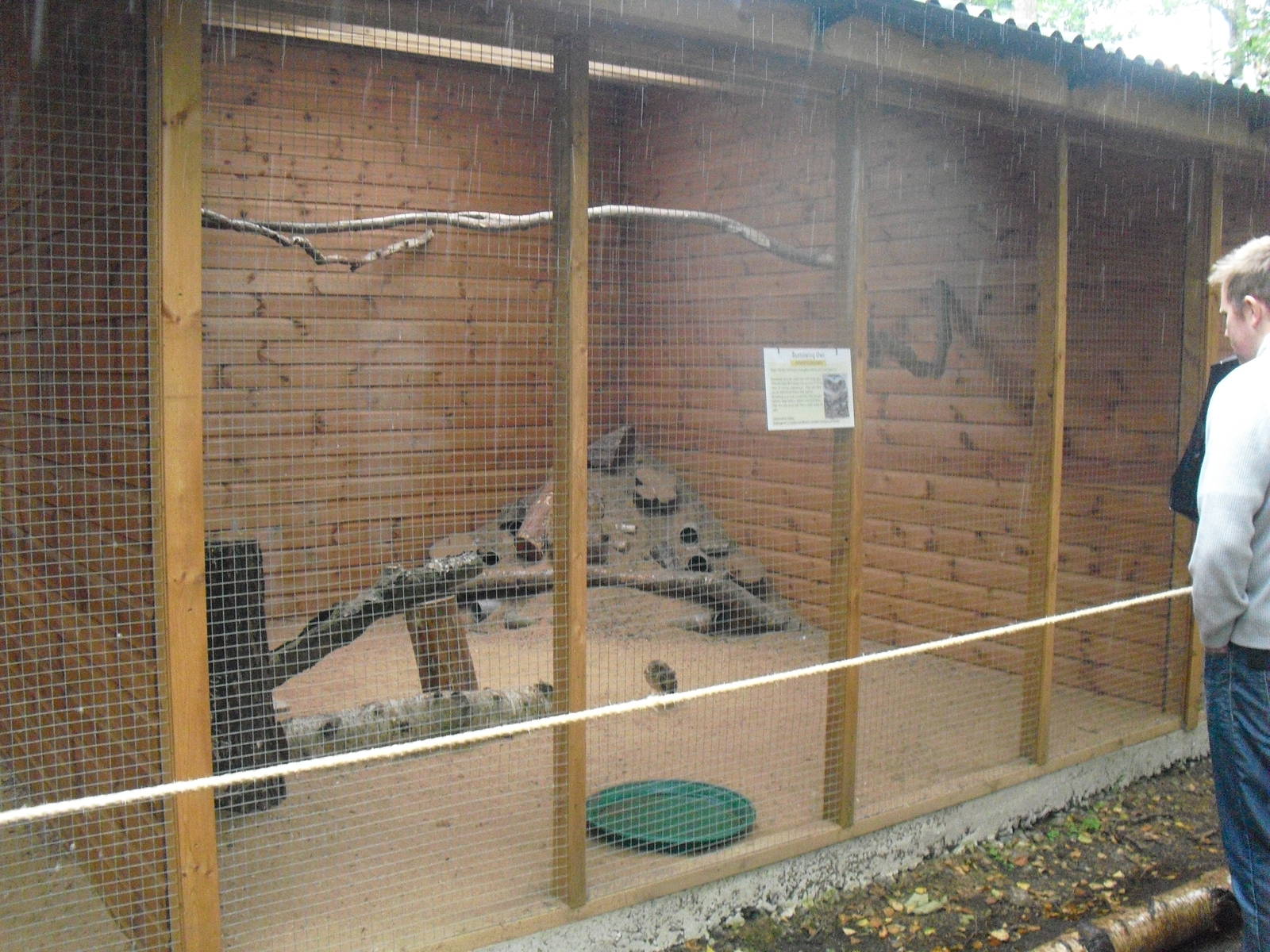 Burrowing Owl Aviary - 06/09/2011