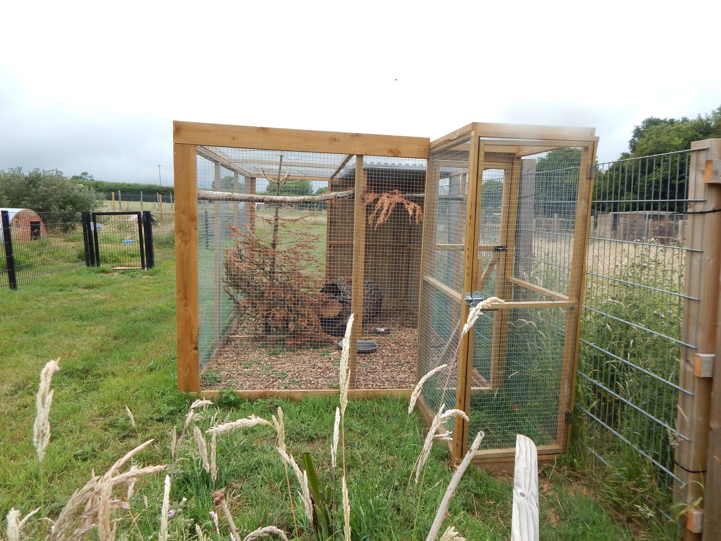 Burrowing owl aviary 300623