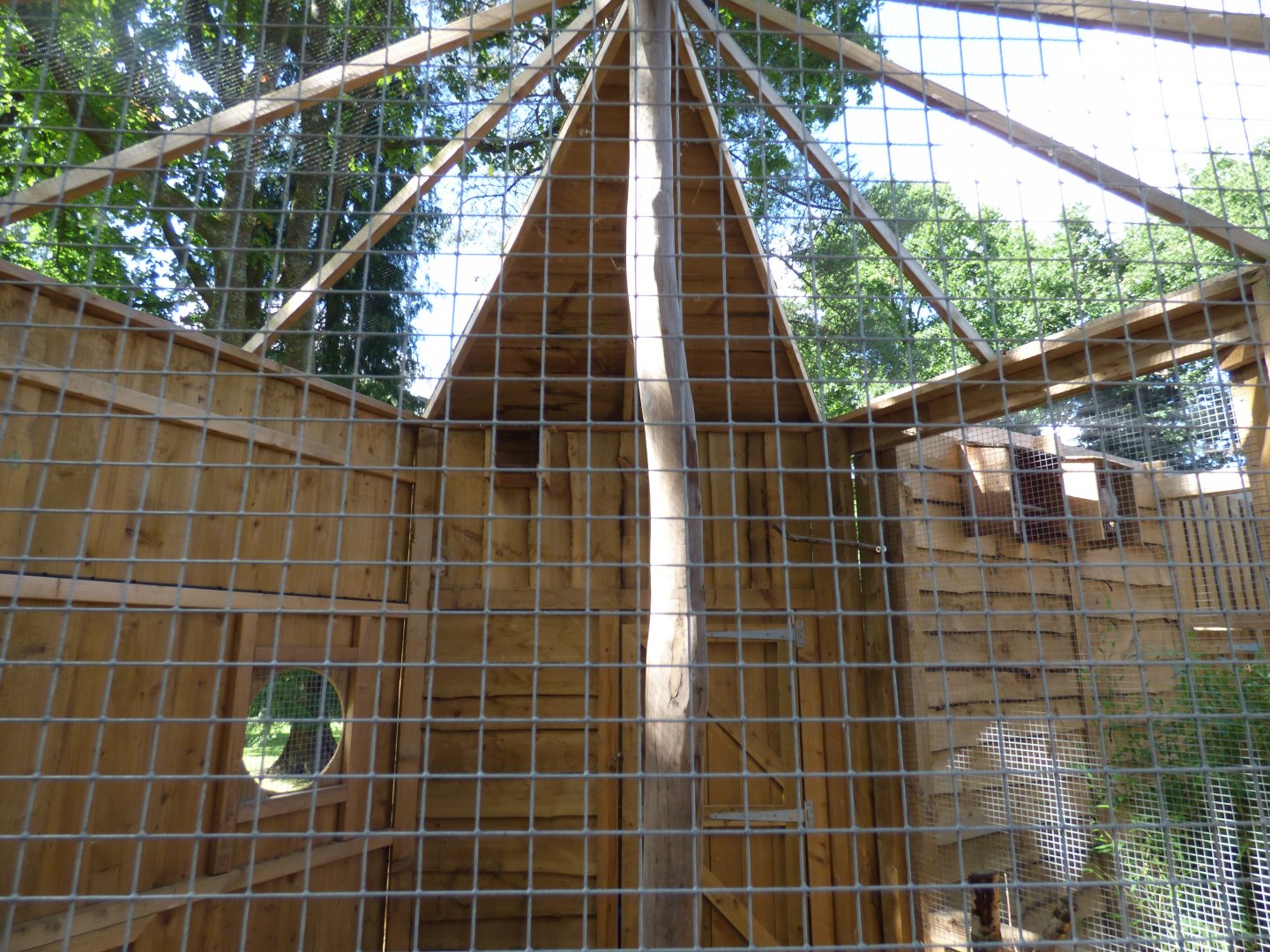 Burrowing Owl Aviary in The Terry Prachett Owl Parliment