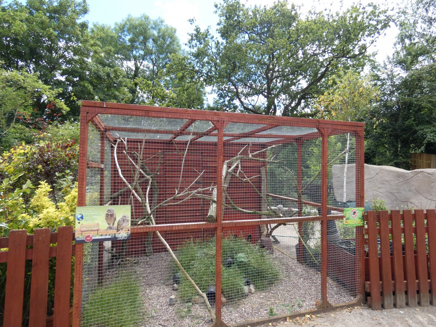 Burrowing owl aviary