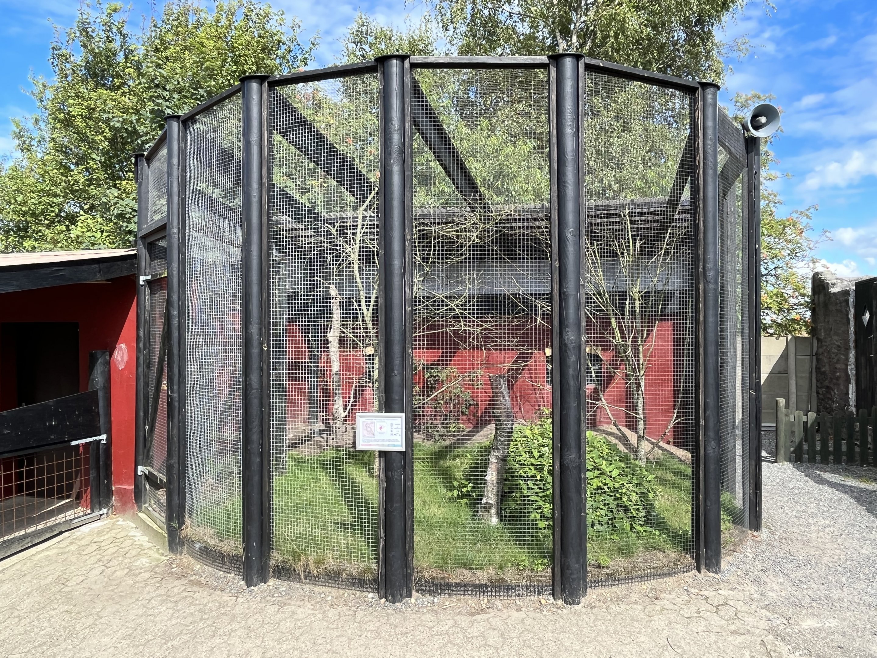 Burrowing Owl Aviary
