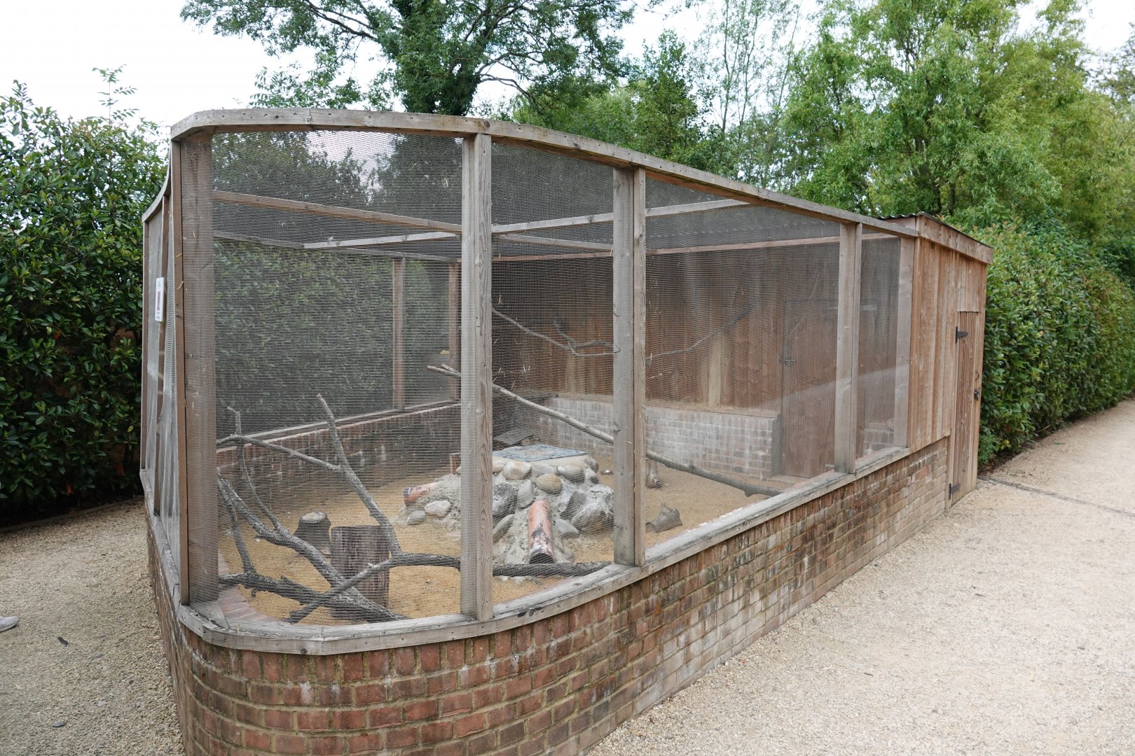 Burrowing owl aviary