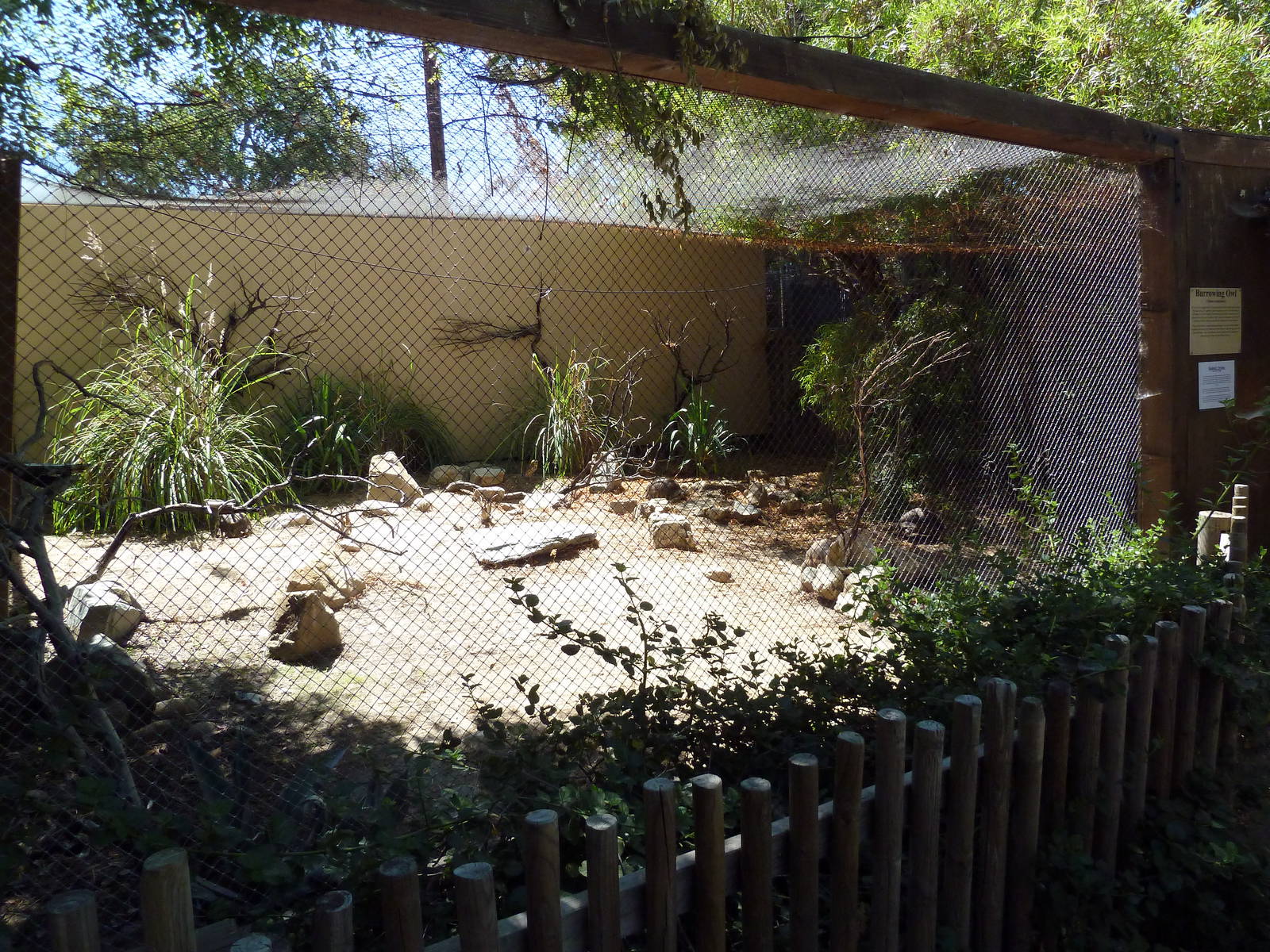 Burrowing Owl/Desert Tortoise Exhibit