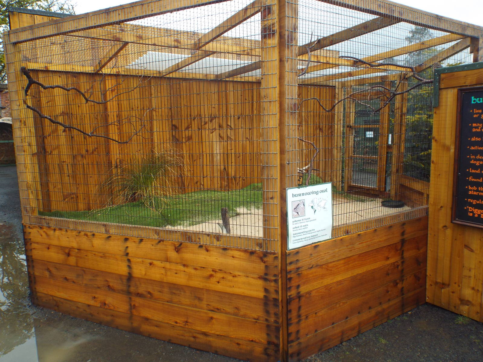 Burrowing Owl Enclosure at Scottish Owl Centre - May 6th 2015