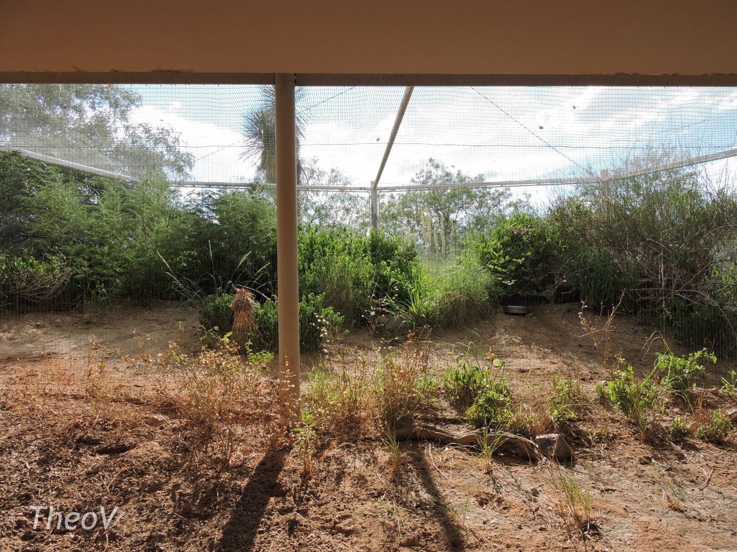 Burrowing owl exhibit [2015]