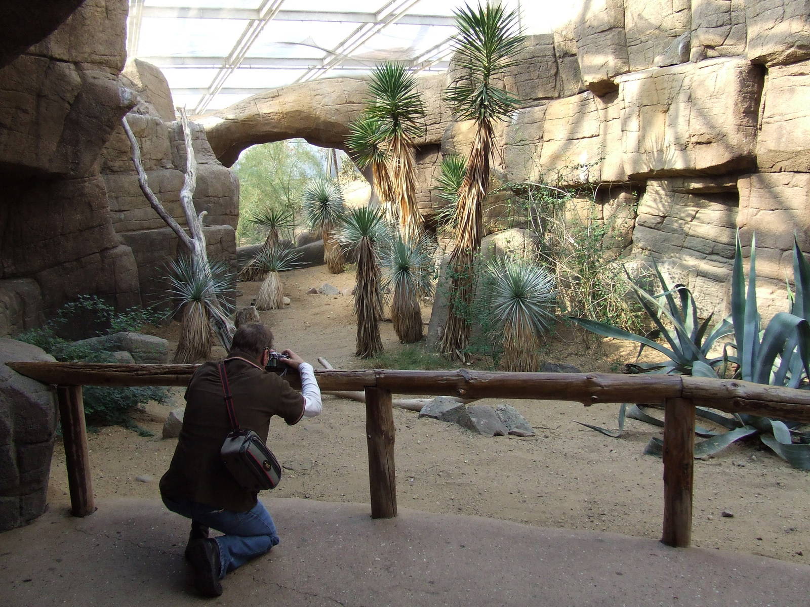 Burrowing Owl exhibit, Burgers Desert