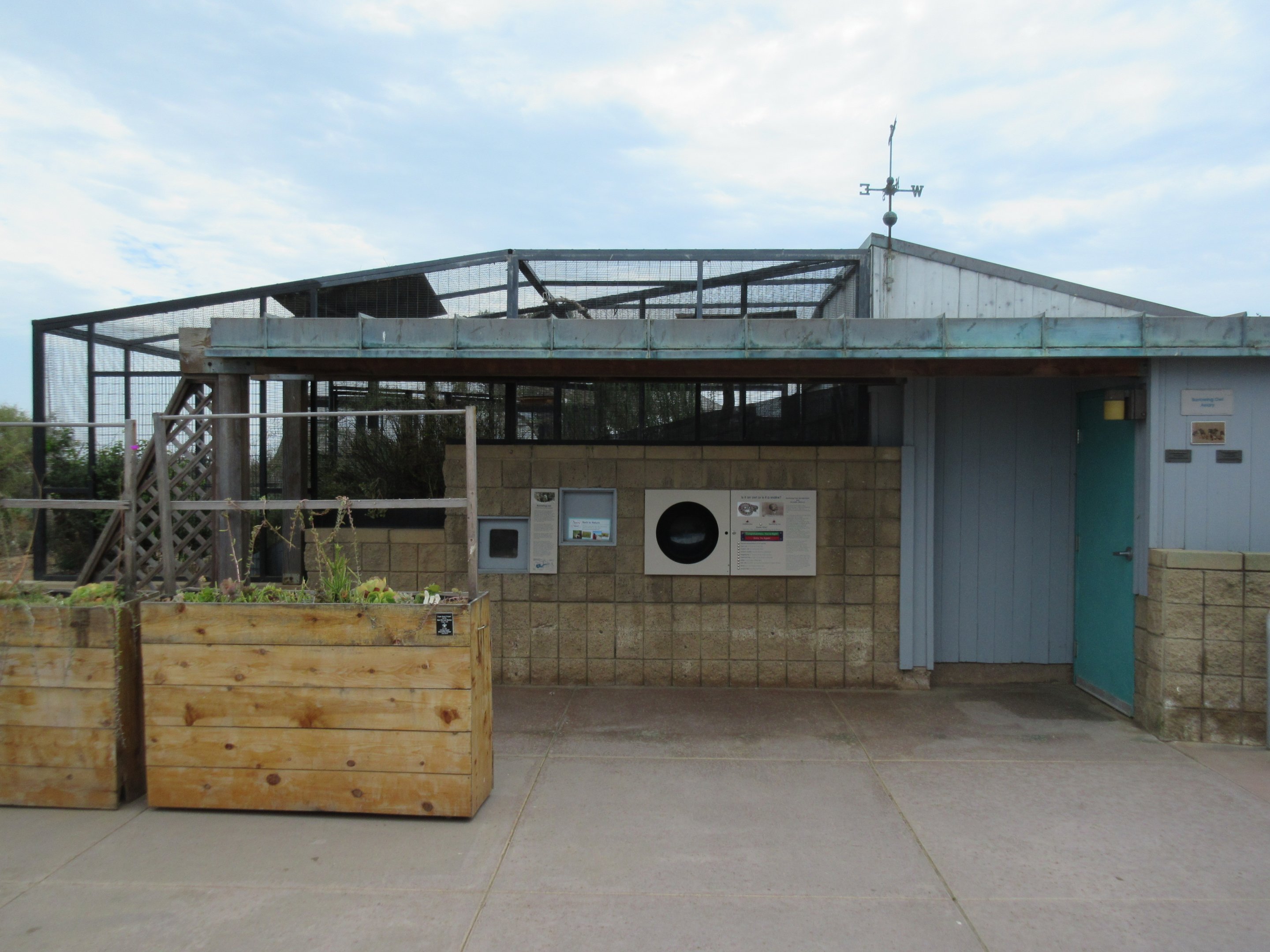 Burrowing Owl Exhibit (side view)