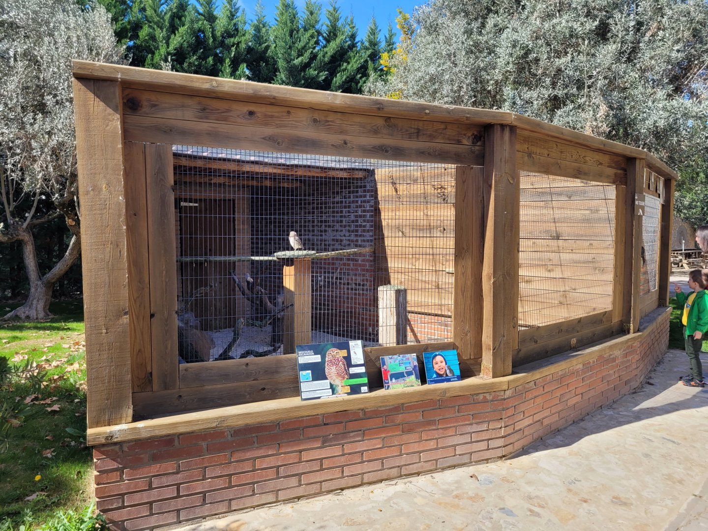 Burrowing owl exhibit -Tierra Rapaz (2024)