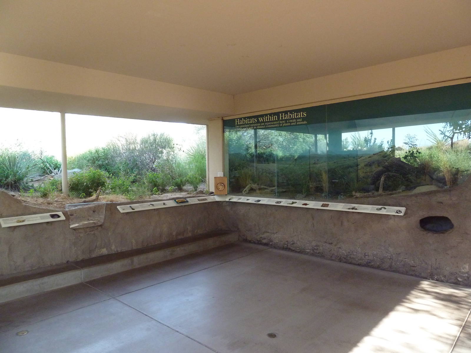 Burrowing Owl Exhibit + Various Smaller Exhibits