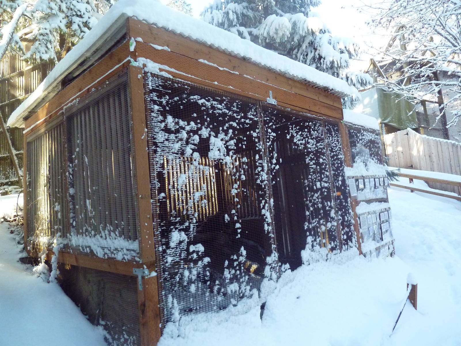 Burrowing Owl Exhibit