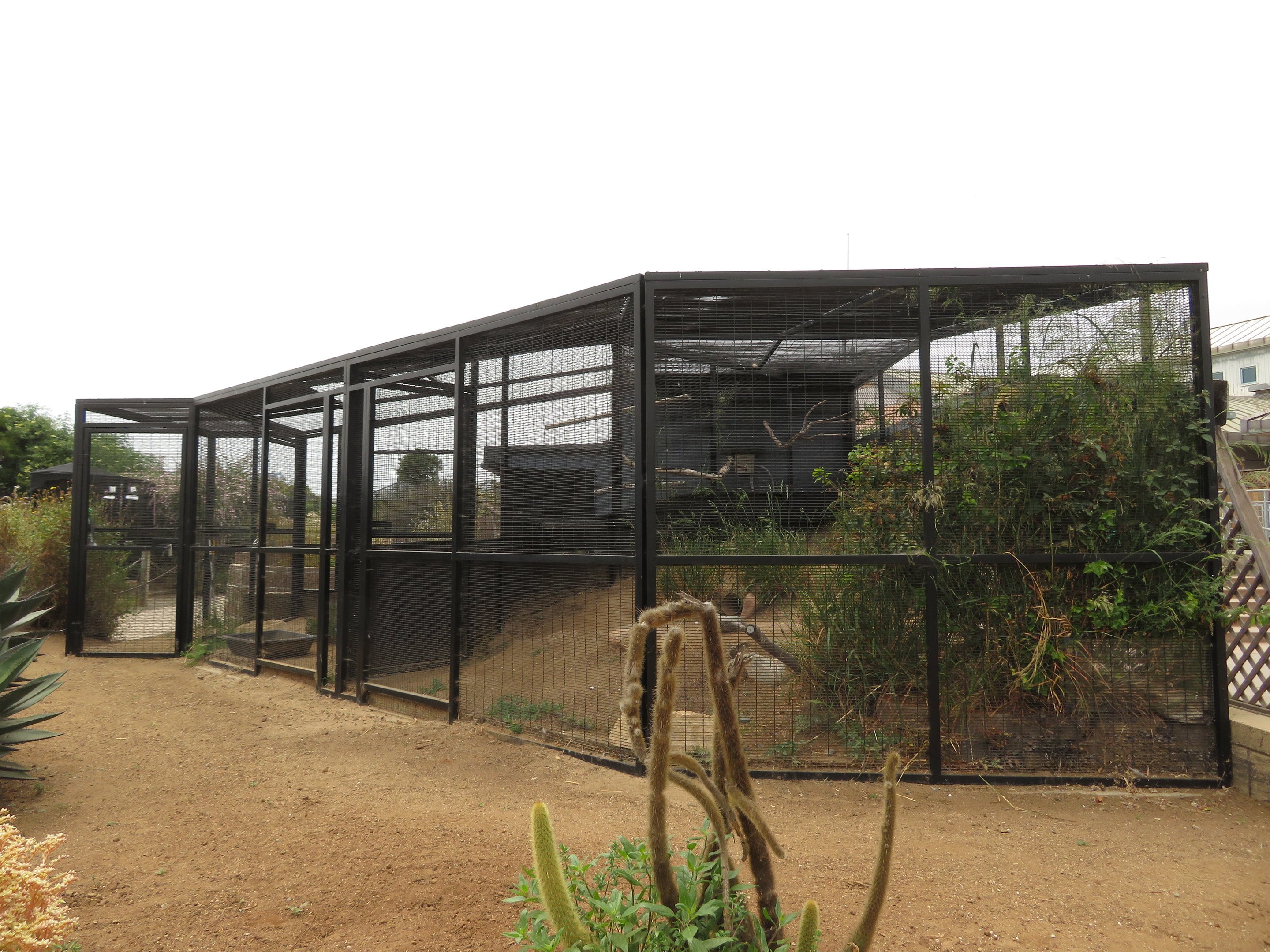 Burrowing Owl Exhibit