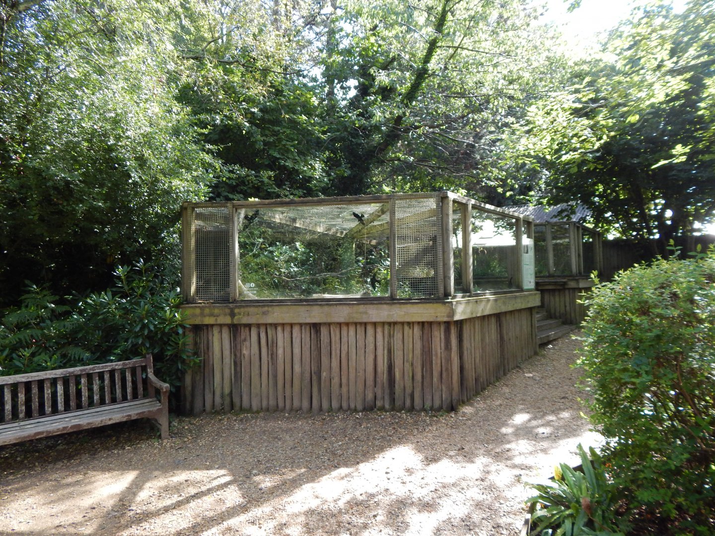 Burrowing owl habitat 130924