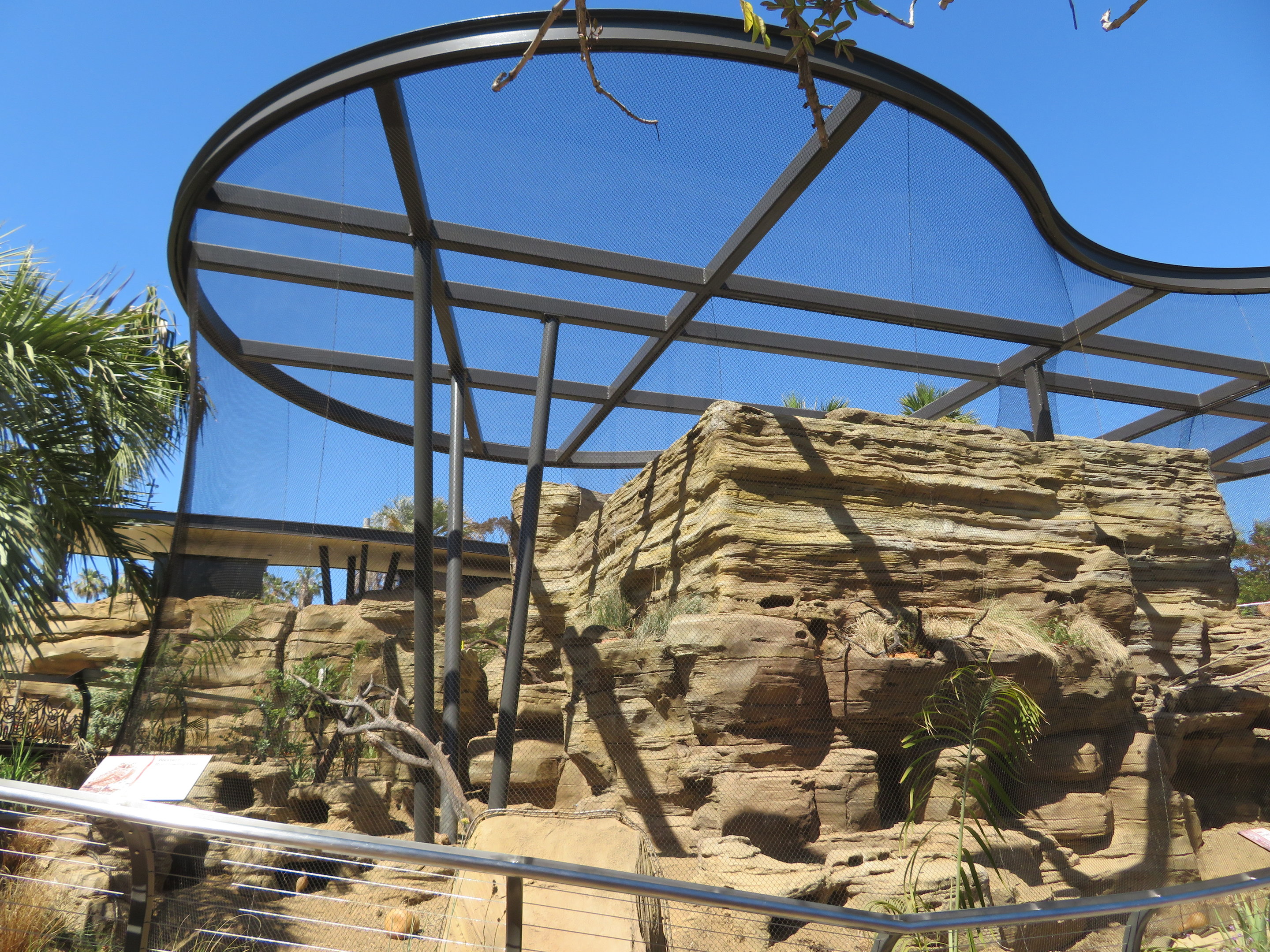 Burrowing Owl/Prairie Dog Exhibit