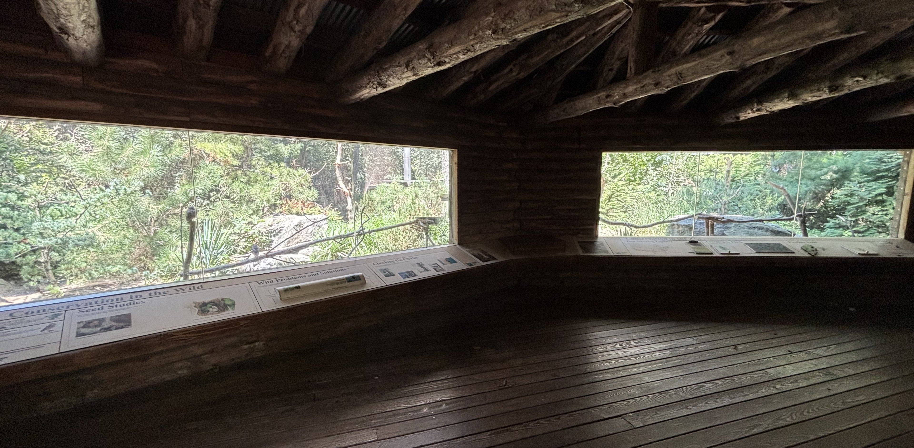 Burrowing Owl/Thick-billed Parrot Aviary