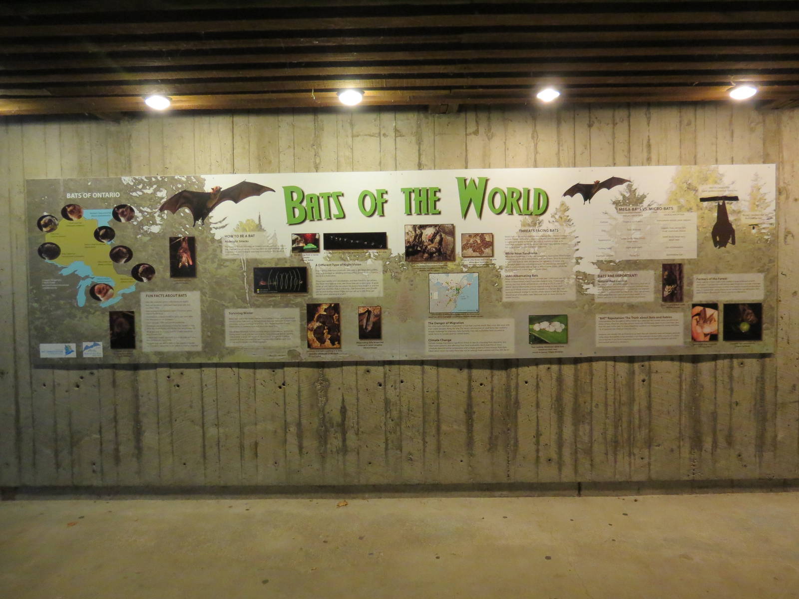 Burrows and Caves of Africa signage - 1 of 2