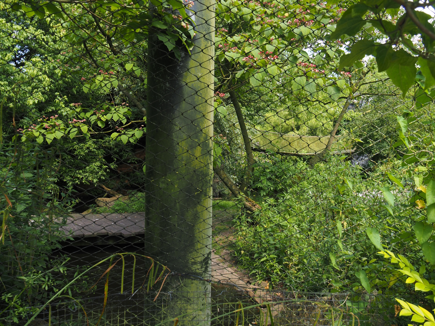 Burung Asia aviary, now closed former walk-through aviary, 2024-06-30