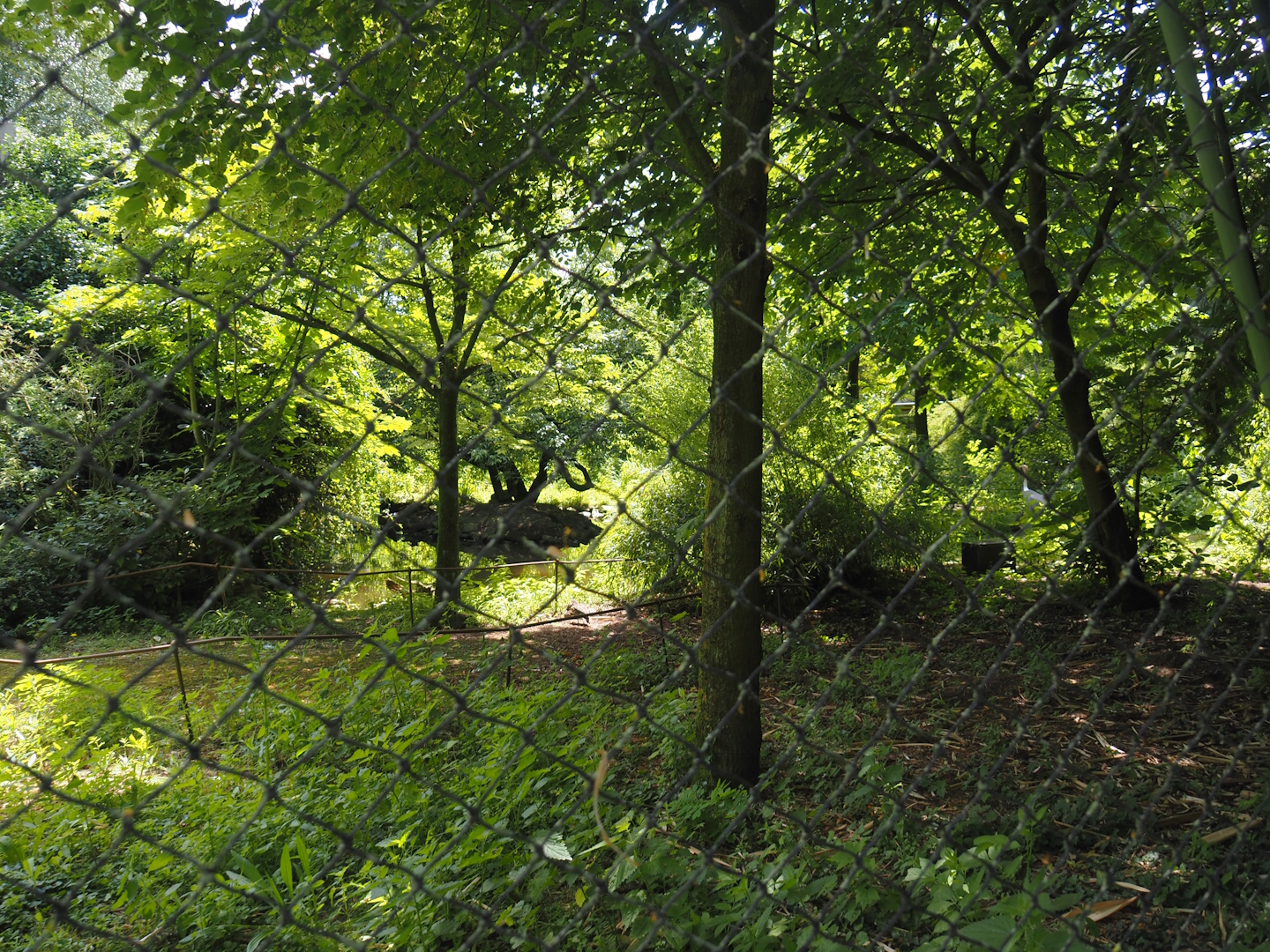 Burung Asia aviary, now closed former walk-through aviary, 2024-06-30