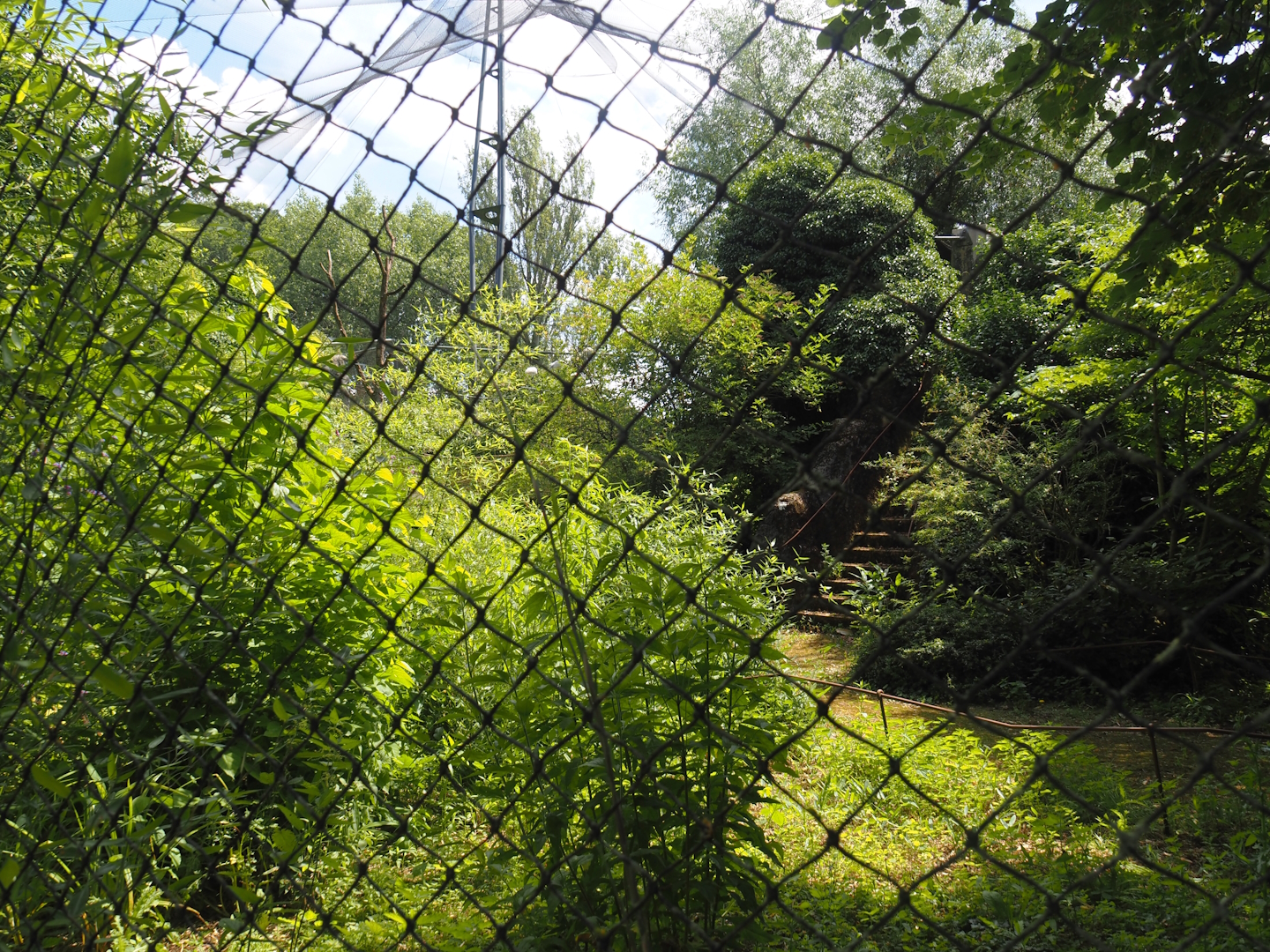 Burung Asia aviary, now closed former walk-through aviary, 2024-06-30