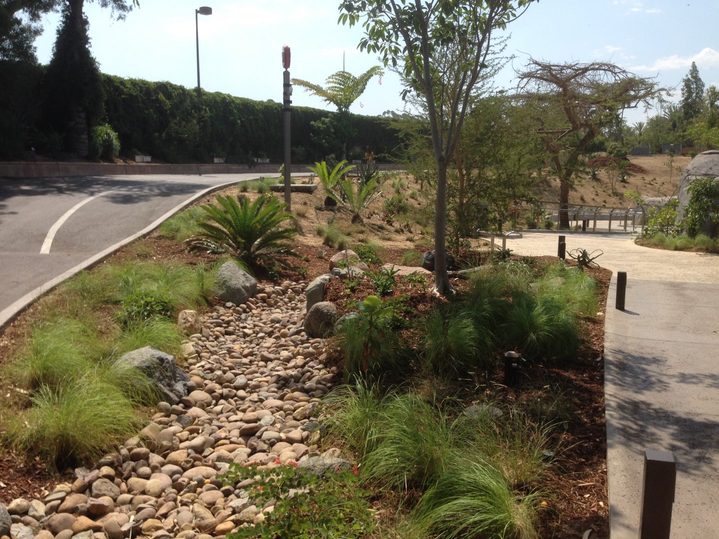 Bus Path Corner - Kopje To Back Right