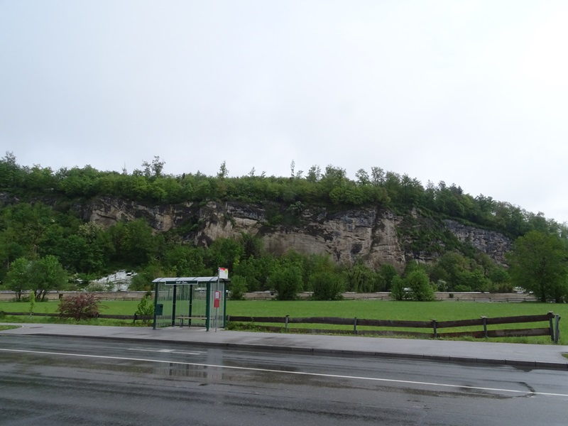 Bus stop in front of the zoo
