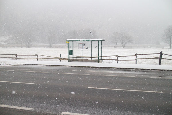 bus stop in front of zoo