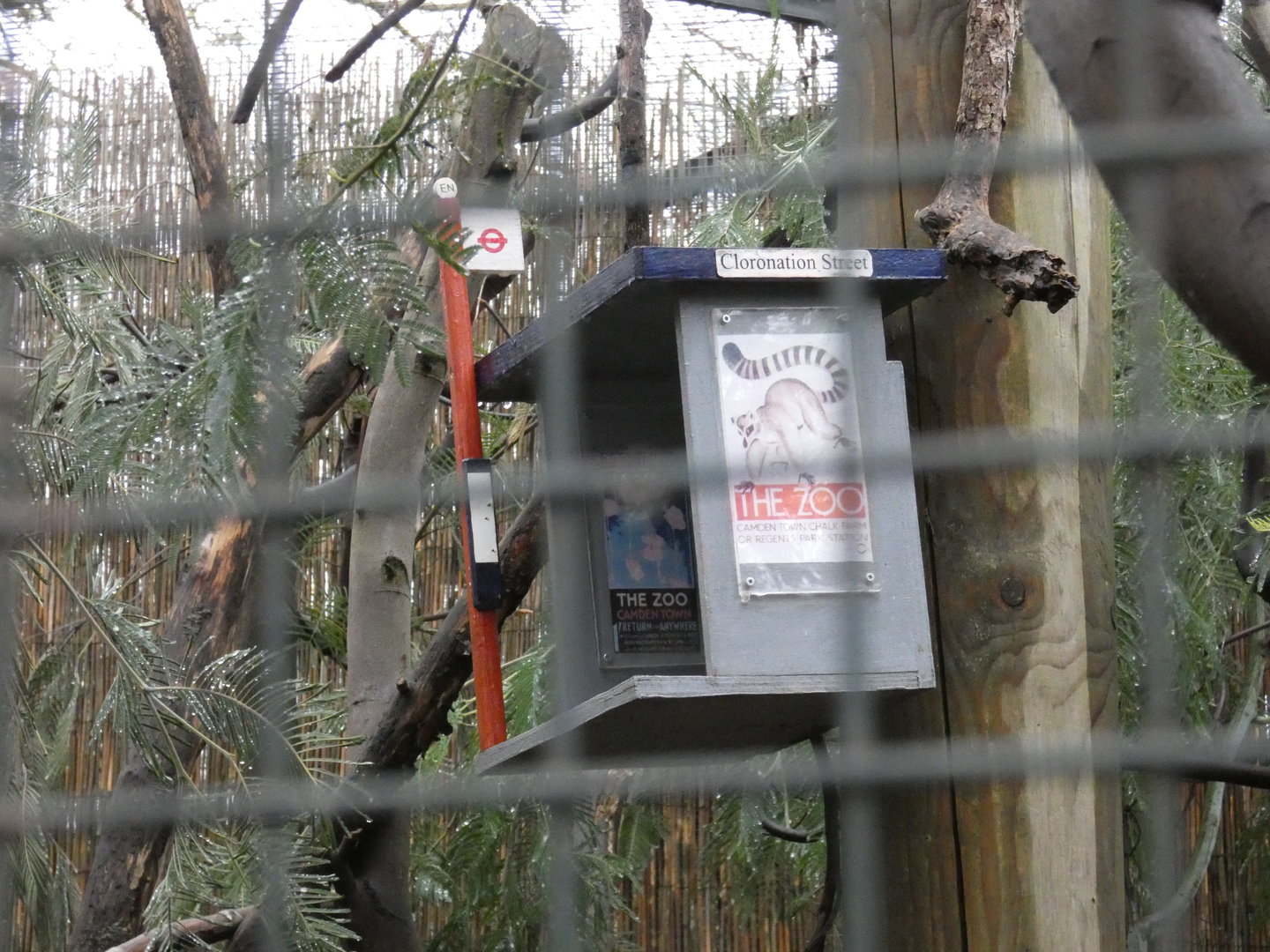 Bus stop tamarin enrichment