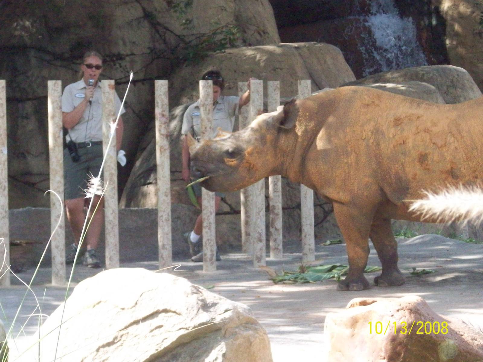Busch Gardens Africa (Tampa Bay) October 2008