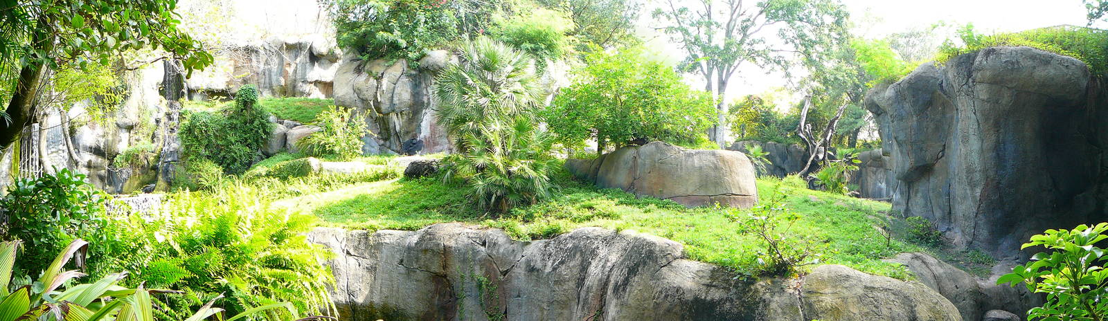 Busch Gardens Gorilla Habitat