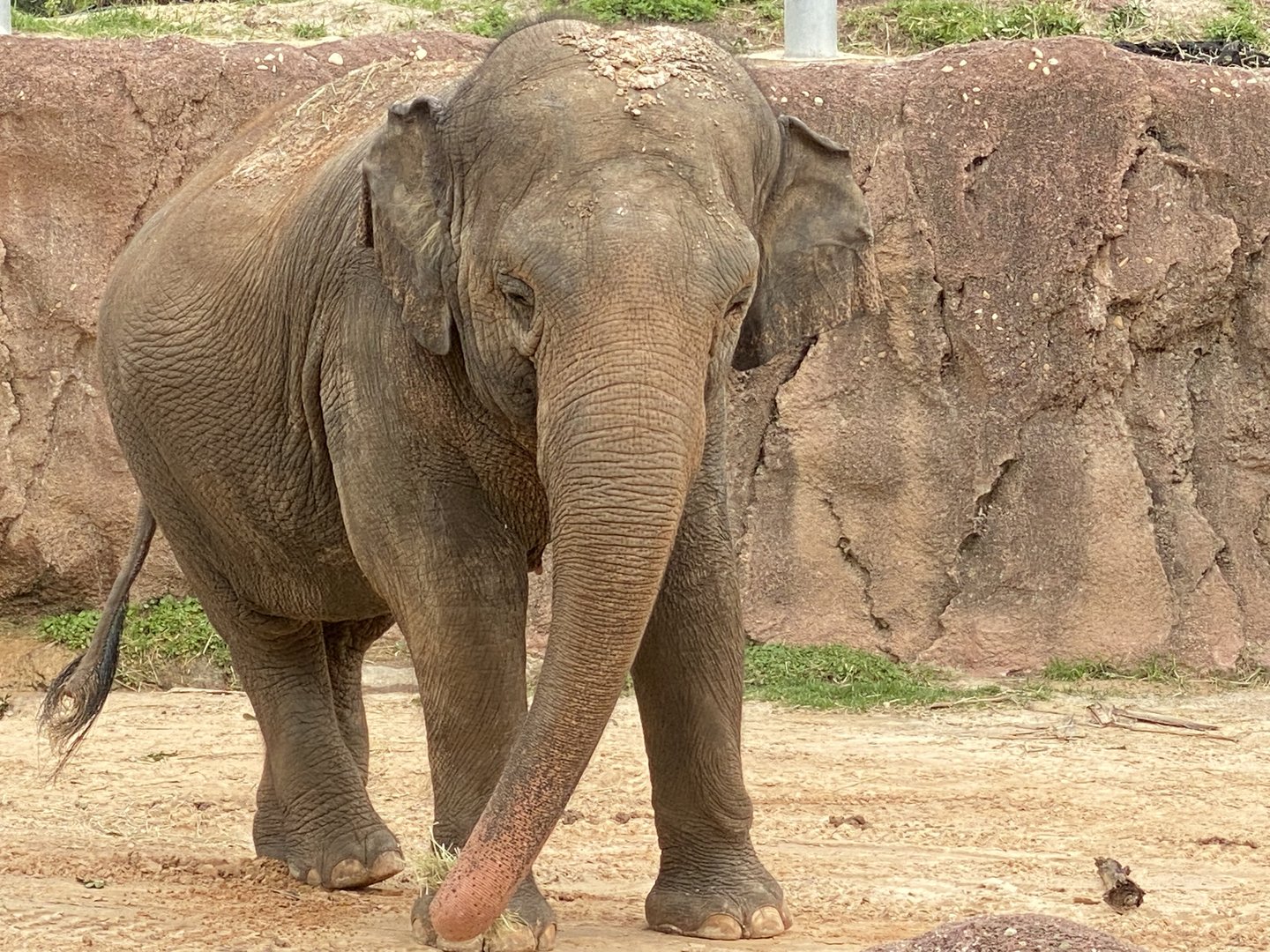 Busch Gardens Tampa April 2, 2022