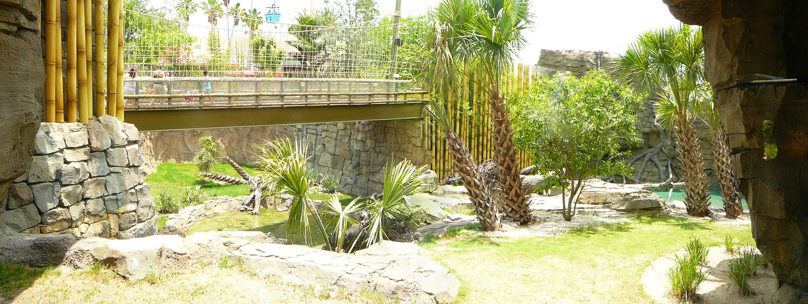 Busch Gardens Tiger Habitat