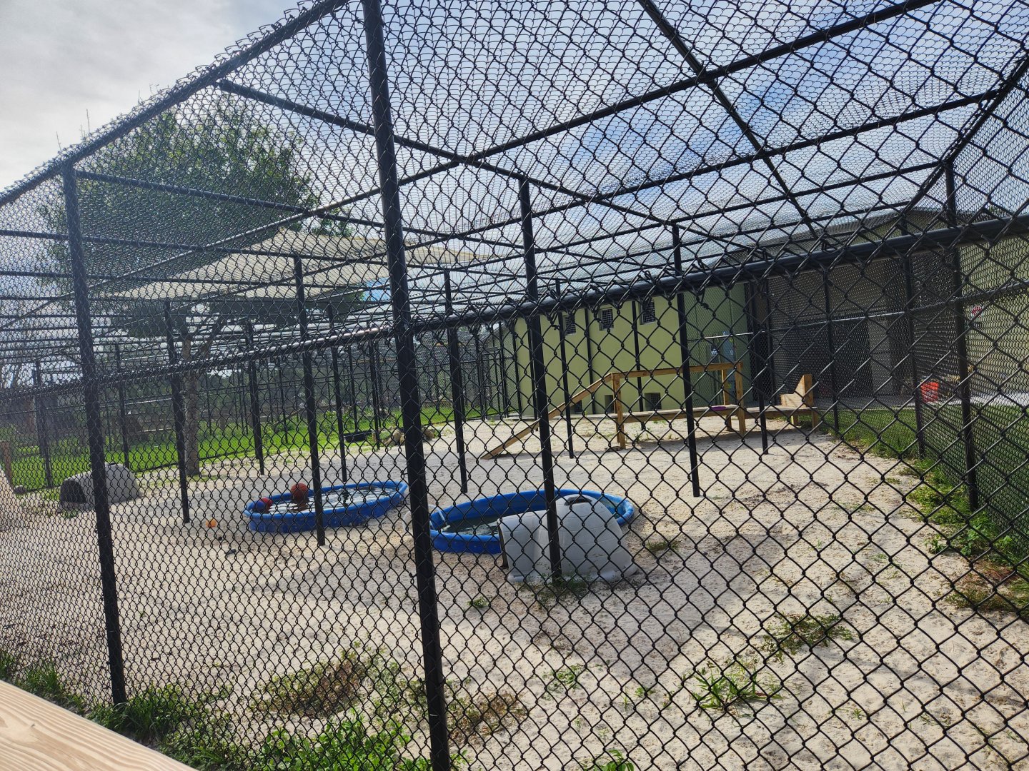 Busch Wildlife (new location) - Otter exhibit