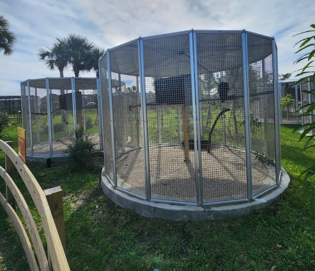 Busch Wildlife (new location) - Raptor exhibits