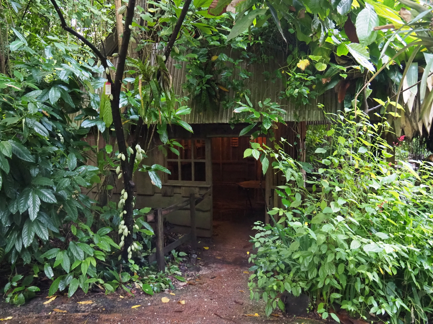 Bush Cabin (Sep 16th, 2018)