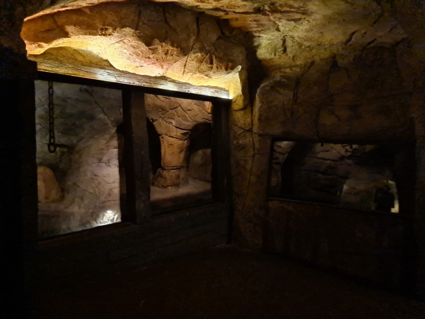 Bush/Desert tunnel - Seba's short-tailed bat