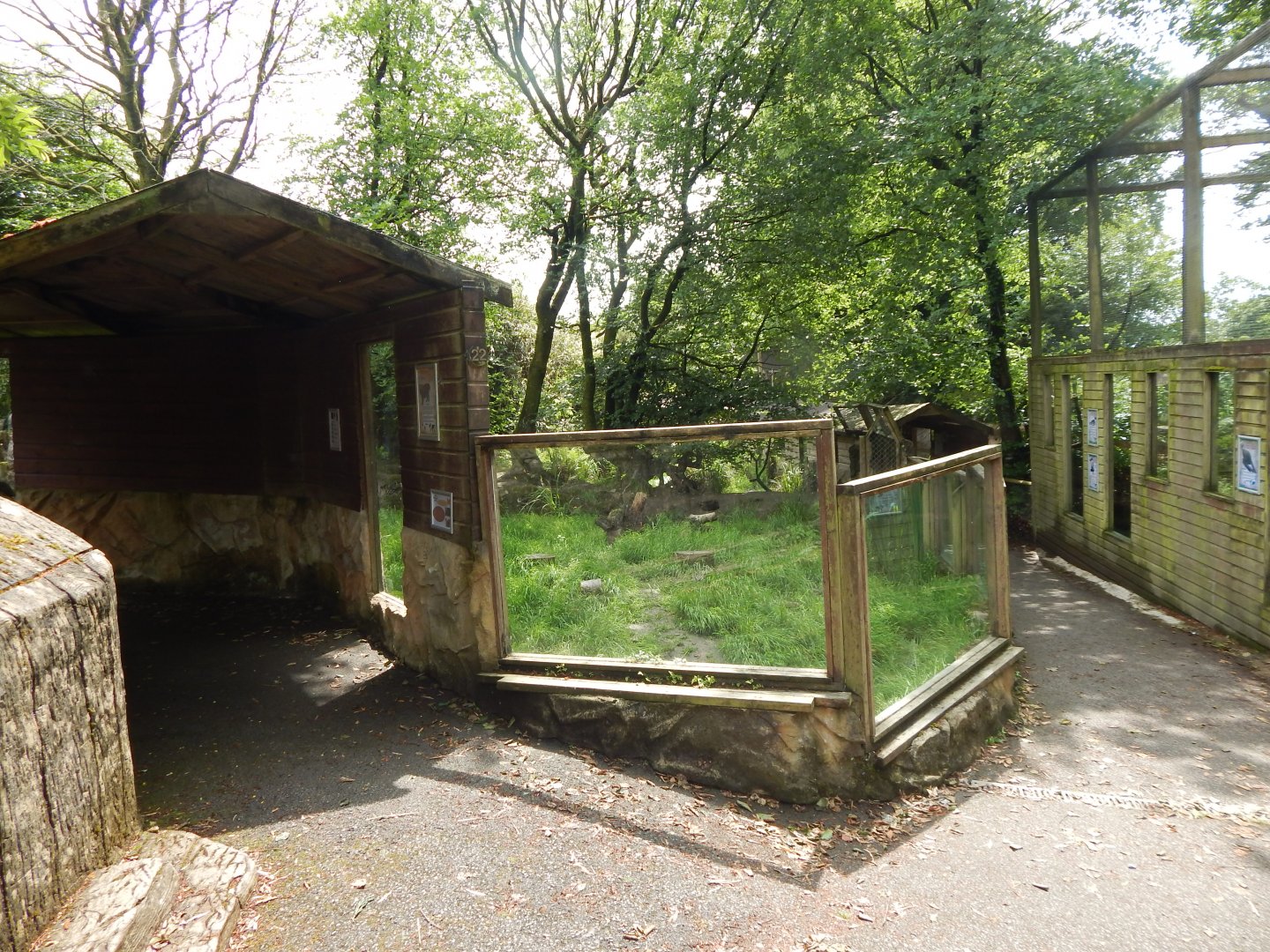 Bush dog enclosure 050625